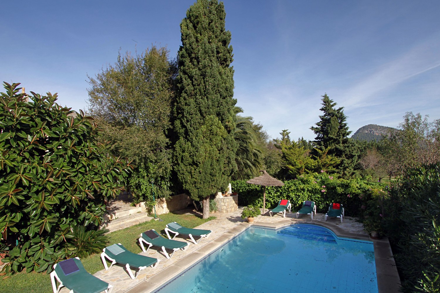 Pool before renovation